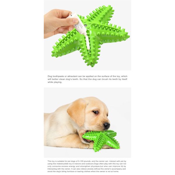 Natural Rubber New Design Starfish Shape Dog Chew Toy Dental Cleaning Toothbrush Squeaky Toy Yellow Green Blue