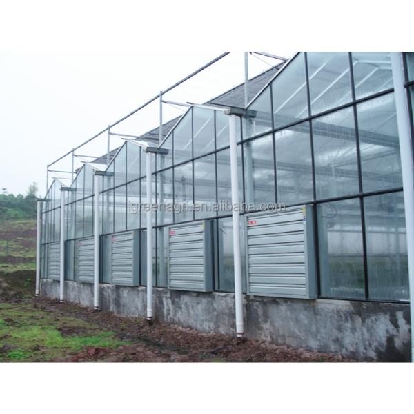 Steel Flame Multi Span Greenhouse Commercial Glass Greenhouse With Winter Cover And Hydroponic System