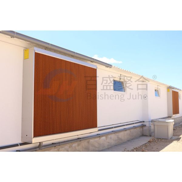 Сталелитейная ферма покупает оборудование для птицеводческой фермы в Индии