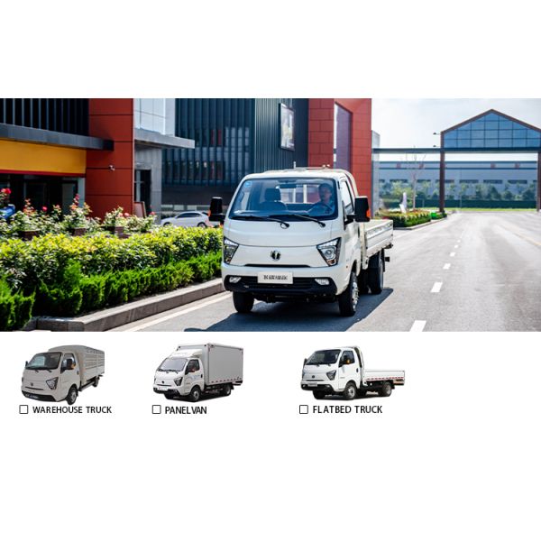 Electric Cargo Van 3.95m 4.01m 3.6m Mini Truck with 2 Seats and 0.5 Hour Charging Time