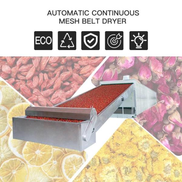 Eco Multi Layer Continuous Belt Dryer Automation OEM