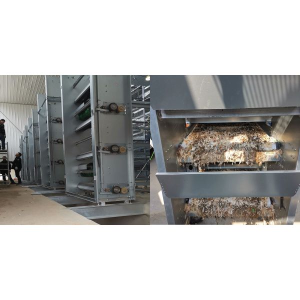 Анти- старея ширина пояса оборудования 1m-1.8m удаления сора птицы HDG