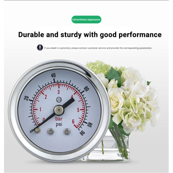 41.5mm Back Mounted Pressure Gauge for Water and Gas Applications in Biogas Systems