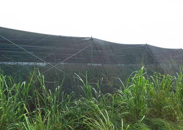 Quick Installtion Shade Net House For Relaxing Plant Seedling