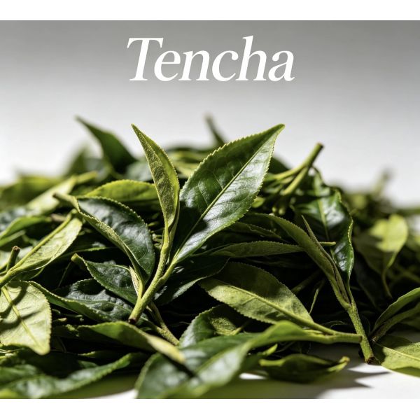Ceremonial Grade Organic High Mountain Grown Matcha Raw Material Tencha Leaves for Premium Production
