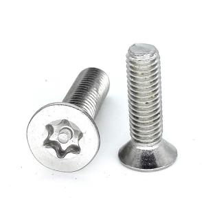 Stainless Steel Flat Torx Head Screw