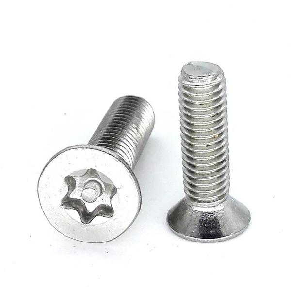 Stainless Steel Flat Torx Head Screw