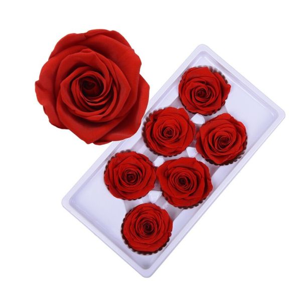 Factory wholesale real touch high quality multi color natural preserved roses at cheap price Christmas gift