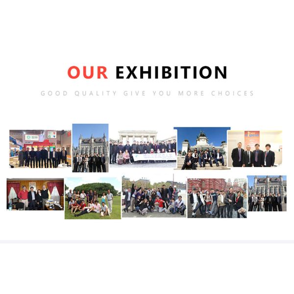 Шорты мужского цвета на заказ Unisex короткие рукава Бланк 190 г Тяжелый вес 100% хлопчатобумажные футболки