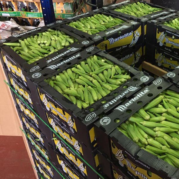 Коробка сота ящиков для хранения Корфлейт брокколи рифленая для плодов