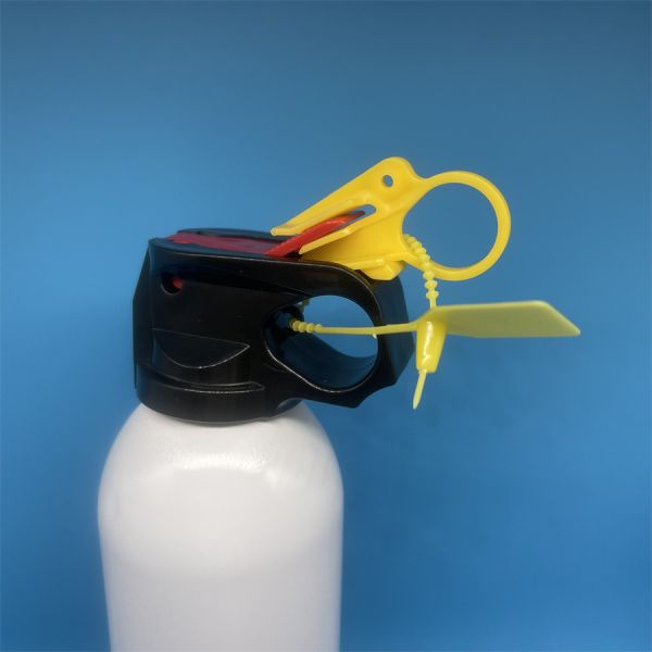 Brass Extinguisher Valve Fittings - Durable and Versatile Fire Suppression System Components - NPT Thread