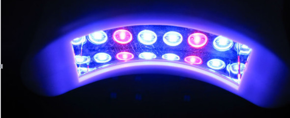 Blue led light teeth whitening/led teeth whitening lamp/home teeth whitening kit