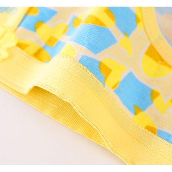 Funny Printing Nylon China Supplier Lady Underwear