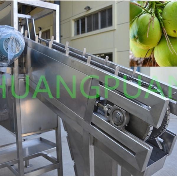 35-120kw Coconut Water Cutting Machine 5-20 BIB Bag