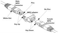 Corde de correction unimodale du mètre MPO du pullover 32 de mode unitaire du noyau OS2 du câble MPO 48 de tronc de fibre de MTP