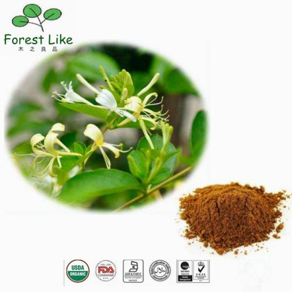 Superior Quality Featured Product 5%-98%Chlorogenic Acid Honeysuckle Flower Extract