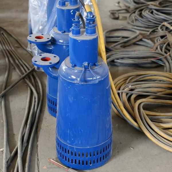 Portable Portable Submersible Sewage Pump Compact Lightweight And Ideal For Flood Drainage And Emergency Use