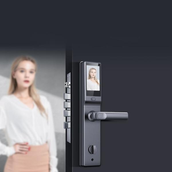 Antitheft Smart Fingerprint Door Lock Biometric Outdoor Gate Lock Face Recognition