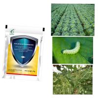 PrGV Bacillus Thuringiensis Spray natural para insectos Insecticida orgânico para berinjela em pó úmido