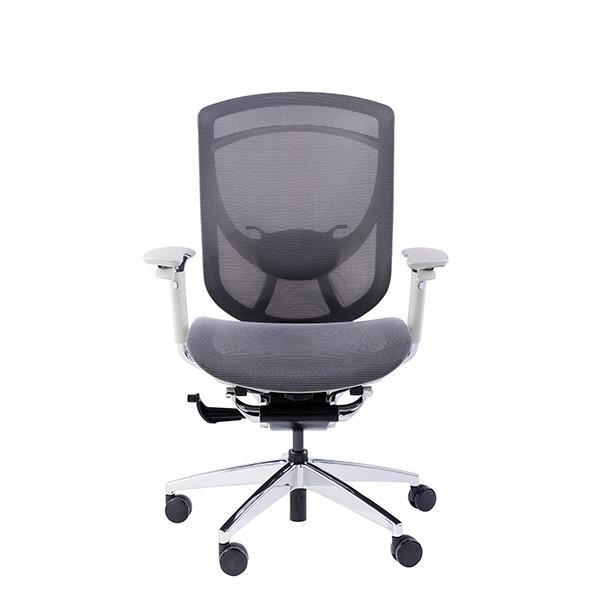 IFIT Black Ergonomic Desk Chair With Lumbar Support Adjustable Tilting Mesh Swivel