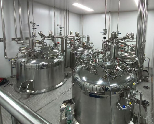 Steam Heating Softgel Gelatin Melting Tank For Pharmaceutical With Adjustable Mixing Speed