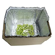 Aluminum Cooler Sealed Insulated Bag, Handle Thermal Lunch Bag, Hot Cold Bag, Transportation, Preservation