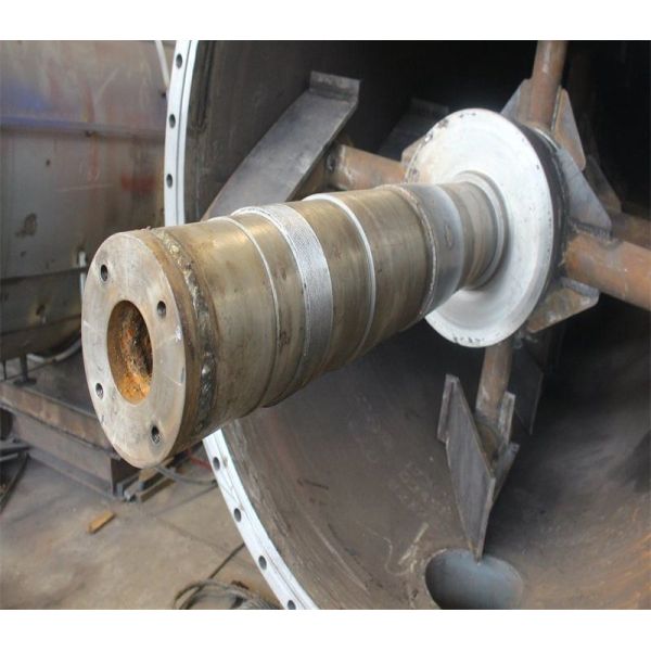 Harmless Treatment Equipment for Large Poultry and Animals