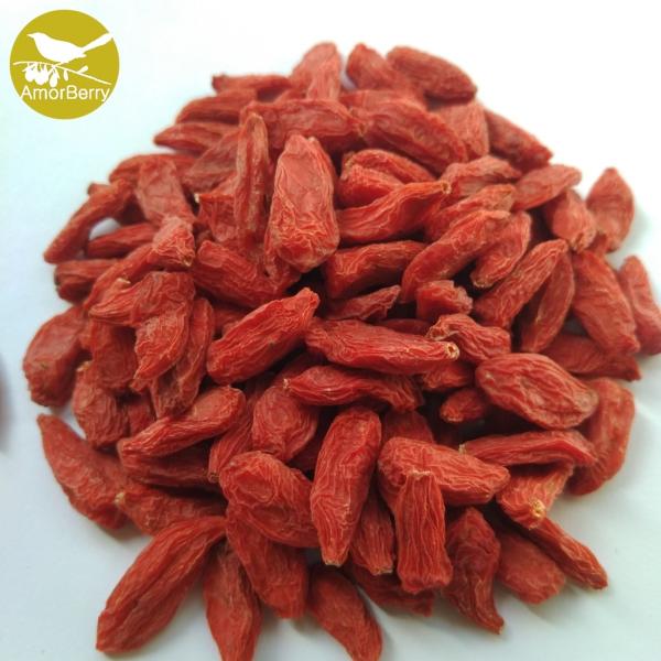 Himalayan Goji Berry Natural Goji Berry Supplier New product organic dried goji berries or Natural Lycium barbarum