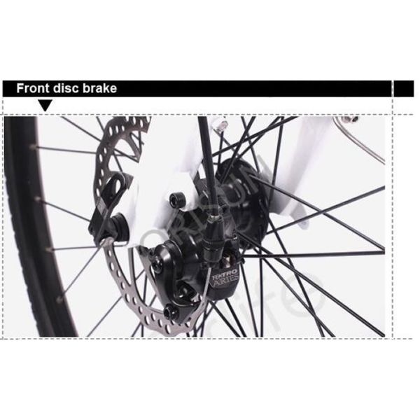 City Black Step Through Custom Electric Bike 250w 120 Kg Load Capacity