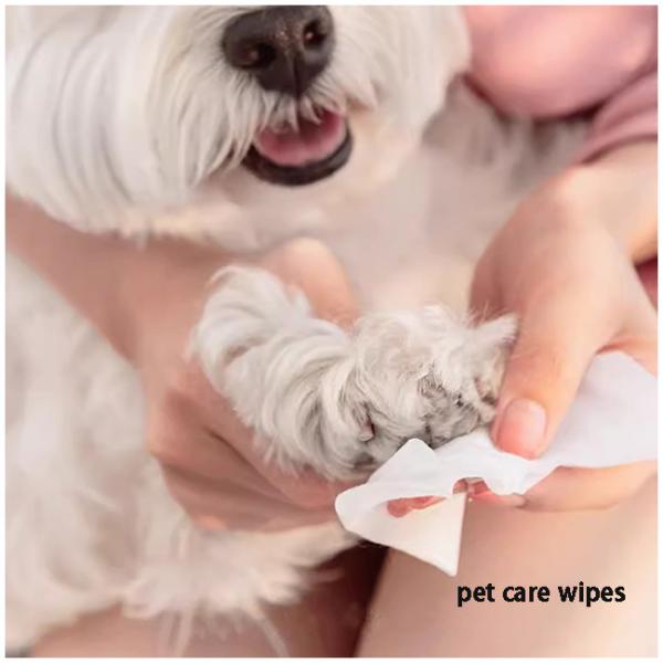 80pcs Dog Friendly Wet Wipes No Fragrance No Wash Deodorizing