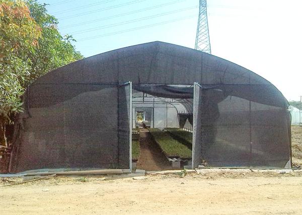 No Welding Mushroom Outdoor Plastic Greenhouse Plastic Uv Greenhouse