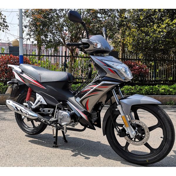 LunaSport 110cc Motorcycle Double Clutch Air Cooling Engine Drum Brake Type