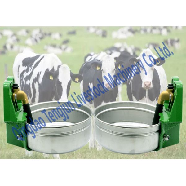 Auto Drinking Bowls For Cattle Flat Stainless Steel Large Capacity