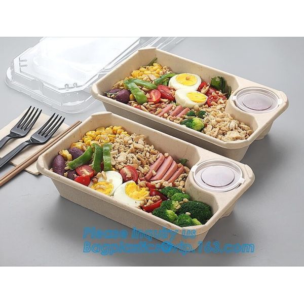 Biodegradable Microwave Bamboo Sugarcane Bagasse Food Container,Eco friendly disposable sugarcane food container with li