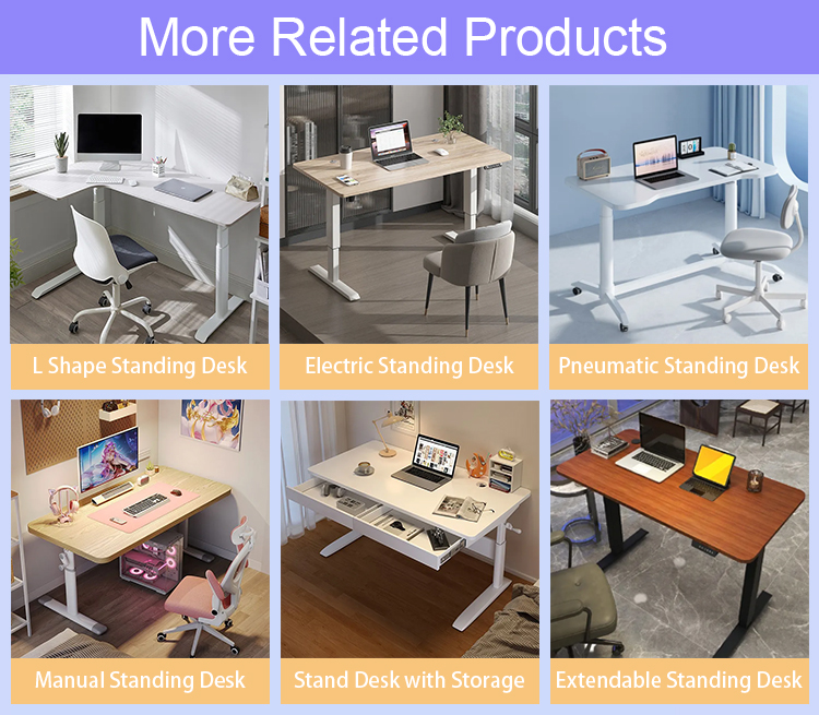 Multi-Function Adjustable Table 's Ergonomic Office Desk with 2 Stage Lifting