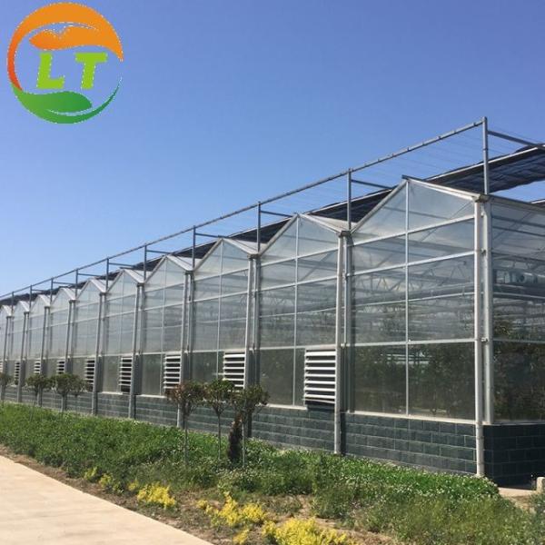 50 m de comprimento Estufa de vidro agrícola para sistemas hidropónicos e tomate/pepinos