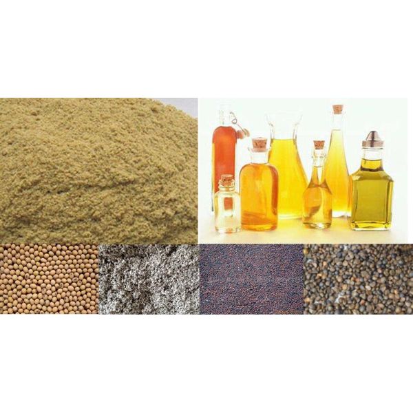 30t/d Peanut Soya Rice Bran Plant Oil Solvent Extraction Machine Production Line Clean and Processing for Restaurants
