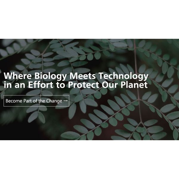 10 To 50Tons/Day Waste Food To Fertilizer Machine Organic Waste Composting Recycling