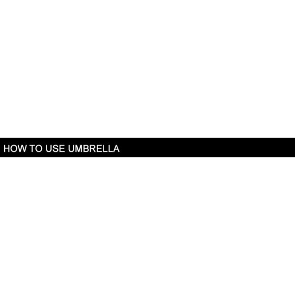 DIY Custom Design Dragonfly Animal Pattern Three-folding Umbrella with Black Coating