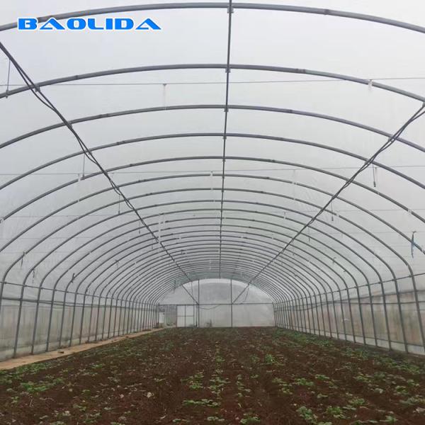 Estufa rápida da barraca da flor com a coberta do filme do Pe da abóbada do sistema de refrigeração