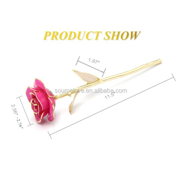 Gold Trimmed Rose Manufacture Flower Girlfriend Gift 24k Gold Plated Natural Rose for Valentine's Day, Mother's Day Gifts