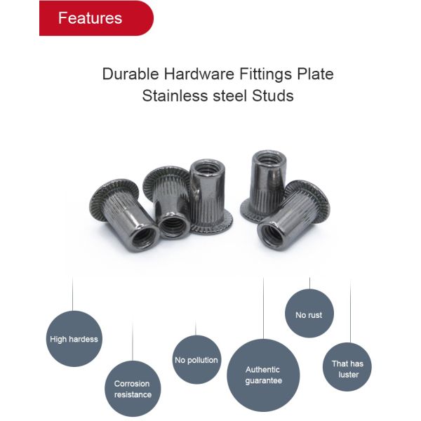 Acero inoxidable personalizado Hole Rivet Nueces de rosca interior de cabeza plana PE bolsa de cartón de caja de pallet