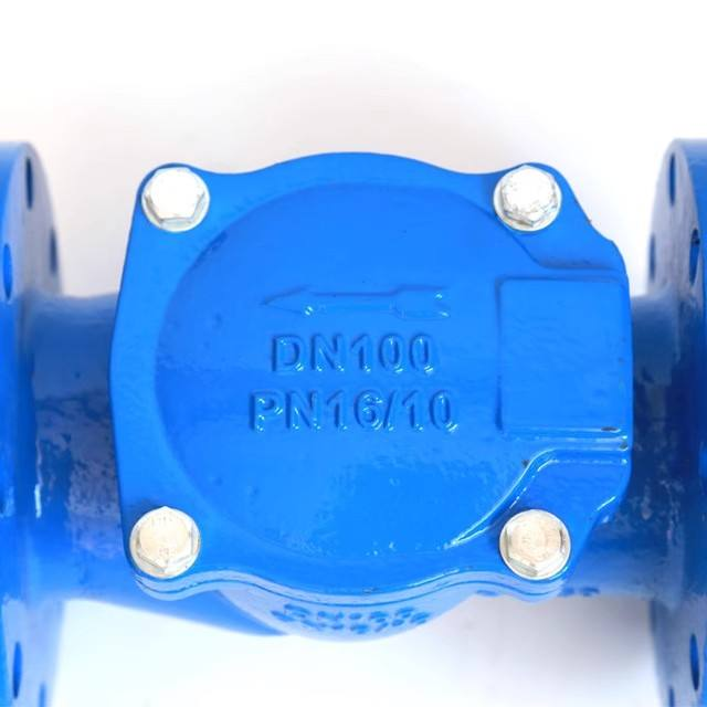 Ductile Iron QT450 Swing Check Valve Flanged End Blue Epoxy Coated Non-return Valve for Water Supply