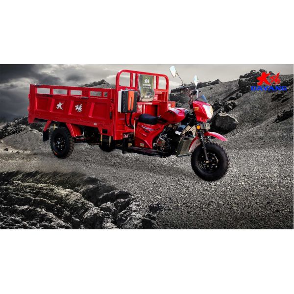 Tuk Tuk Chassis 250cc Zongshen Engine Hot Gasoline Cargo Tricycle for 5.0 Inch 70 Km/h