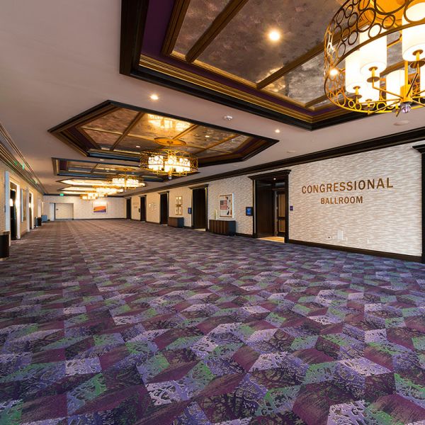 Hotel Style Polyamide Carpet Soft Tufted Rolls for Indoor/Outdoor Superior and Design