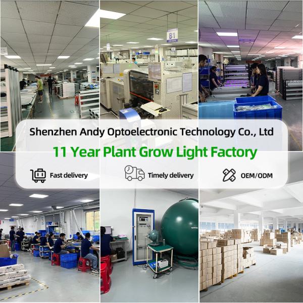 Dimmable LM281B Led Full Spectrum Led Plant Grow Lights 640W Horticultural