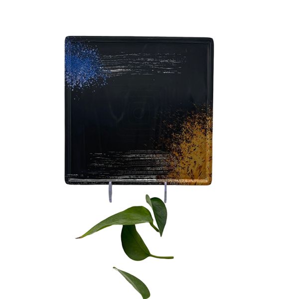 10'' Restaurant Hotel Melamine Dinnerware Japanese And Korean Style