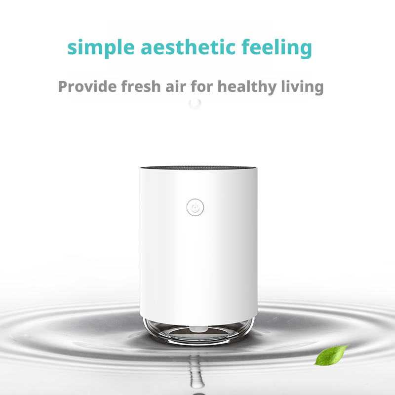 Plastic Material Ultrasonic Air Humidifier With Humidistat Control Romantic Ambient Light