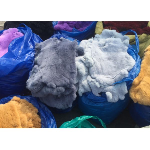 El calentador gris claro del cuello de la piel del conejo de Rex, conejo real de Rex lanza la piel para la manta de la placa