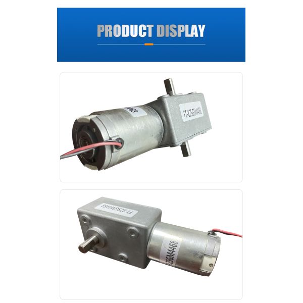 FT-82SGM4468 12v Worm Gear Motor 24v High Torque Dc Worm Gear Motor for Floor Cleaning Robots